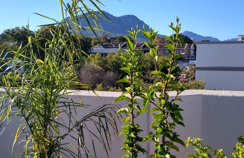 Somerset West Apartamento | Ático con terraza en la azotea.