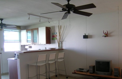 Mediania Baja Condominio | Penthouse con vista al mar en Puerto Rico