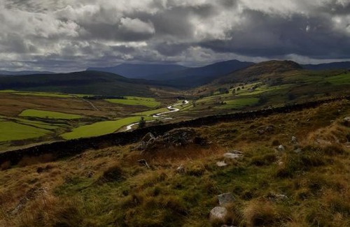 Bronaber Otro | Penystryd