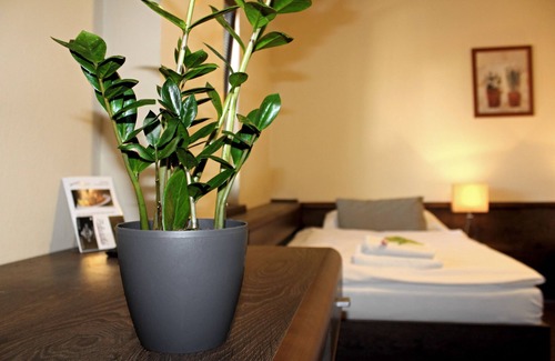 Nitra Casa | Penzión & Wellness Zoborská