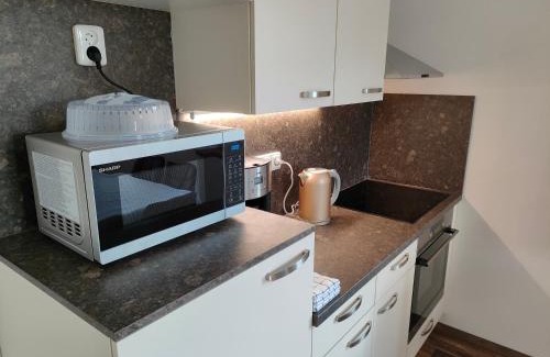 Horni Plana Apartamento | Penzion Šumava - APARTMÁN