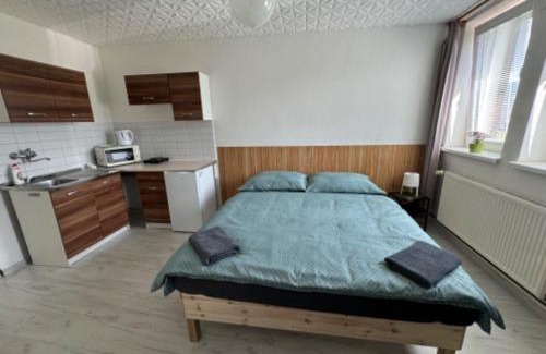 Bela pod Pradedem Casa | Penzion a Rybářská bašta U Jesetera
