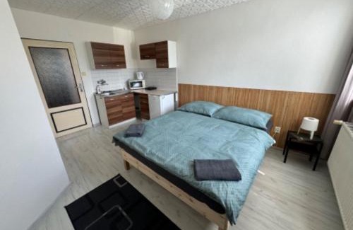 Bela pod Pradedem Casa | Penzion a Rybářská bašta U Jesetera