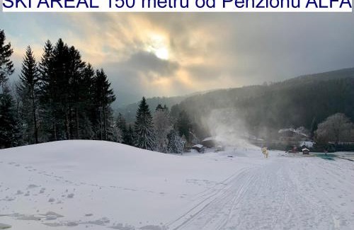 Zelezna Ruda Casa | Penzion Alfa