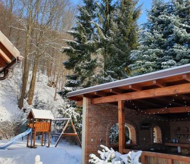 Loucna nad Desnou Villa | Penzion Ema