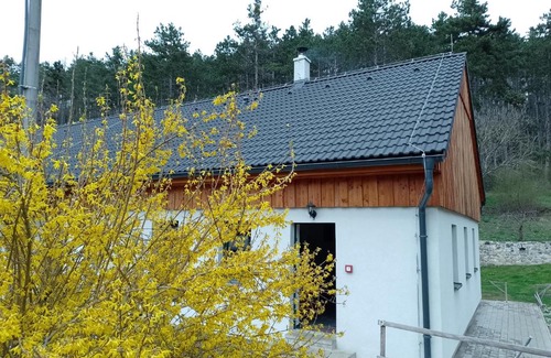 Kraluv Dvur Casa | Penzion Litohlavy 17 - Na samotě u lesa