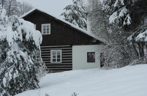 Zlata Olesnice Hotel | Penzion Olesnice