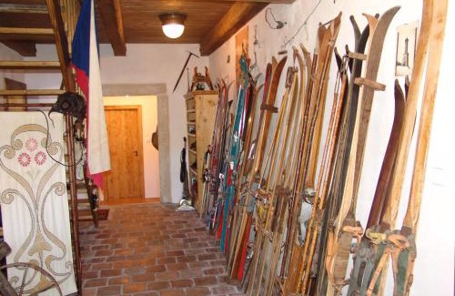 Zlata Olesnice Hotel | Penzion Olesnice