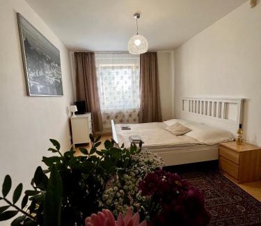 Prague 4 Casa | Penzion Sofi
