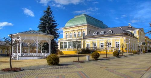 Frantiskovy Lazne Casa | Penzion U Modrého Slona