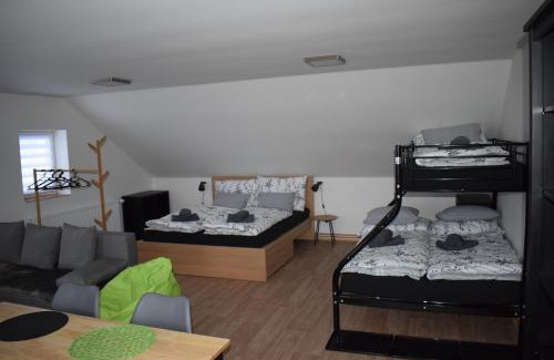 Velke Losiny Apartamento | Penzion Víra