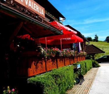 Zgornje Jezersko Cama Y Desayuno | Penzion Valerija