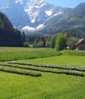 Zgornje Jezersko Cama Y Desayuno | Penzion Valerija