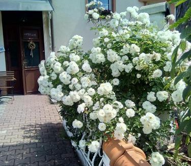 Marianske Lazne Casa | Penzion Villa Marion
