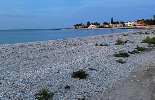 Playa de la Almadrava Casa | PEPE