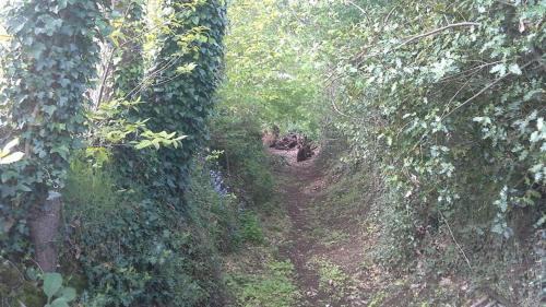 Colombiers-du-Plessis Casa | Pepe's Naturist Pod for 2 people Pays de la Loire