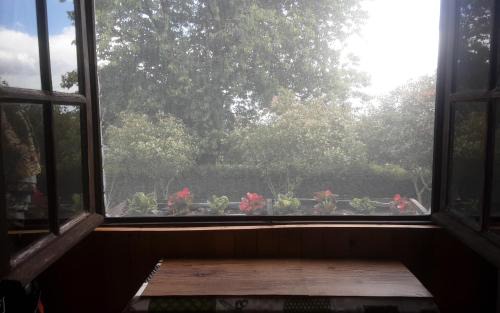 Colombiers-du-Plessis Casa | Pepe's Naturist Pod for 2 people Pays de la Loire