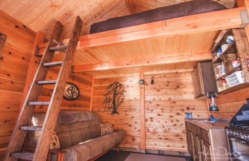 Seward Cabina | Pepper Creek Cabin ubicado en su propia playa privada.