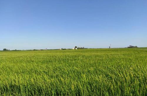 Amposta Casa | Pequeña casa rural en el centro del Delta del Ebro