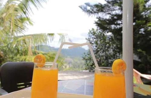 Peradeniya Hotel | Peradeniya Green Mount Hotel