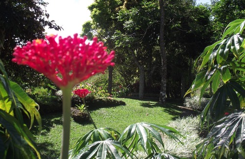 Panama Oeste Province Villa | Perfect Getaway & Bird-Watcher's Paradise-1. Villa 5 acres de montaña