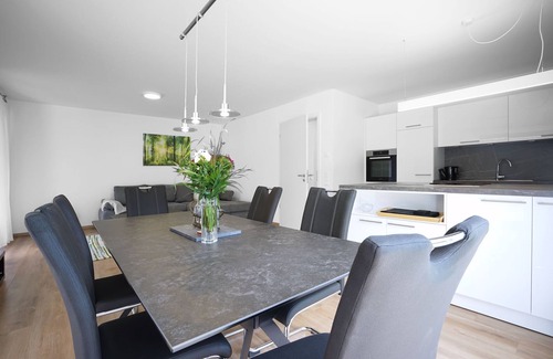 Steinach Apartamento | Perfekt für Business!