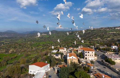 Peristerona Casa | Peristerona, Olive Manor Boutique Stone- built Stay for 8 people close to Polis and Paphos