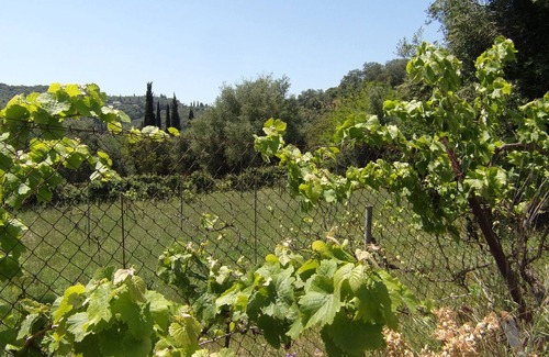 Peroulion Casa | Perithia Cottage