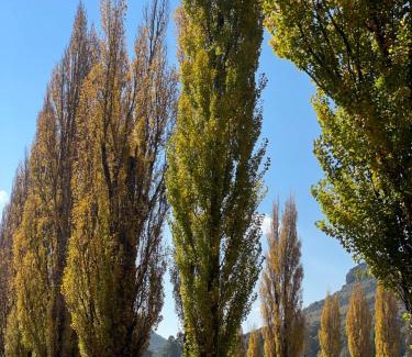 Clarens Casa | Periwinkle, Grove ,Acorn & Sage Cottages