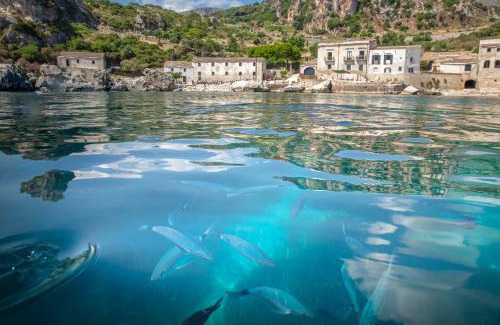 Castelluzzo Apartamento | Perla di Mare Appartamenti