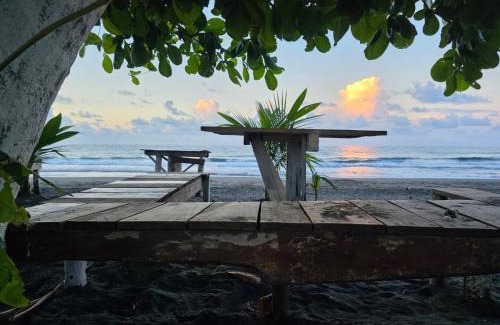 Puerto Viejo de Talamanca Hotel | Perla Negra Beachfront