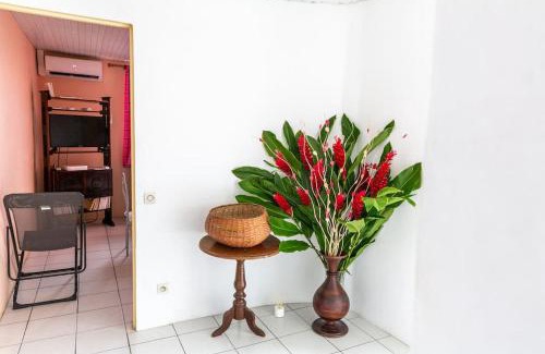 Fort-de-France Apartamento | Perle des Ursulines