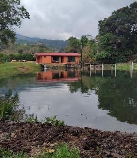 Copey Cabina | Persea Inn Finca Integral Sostenible Organica Toro Careto