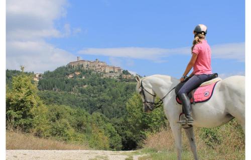 Monte Santa Maria Tiberina Apartamento | Pet Friendly Apartment