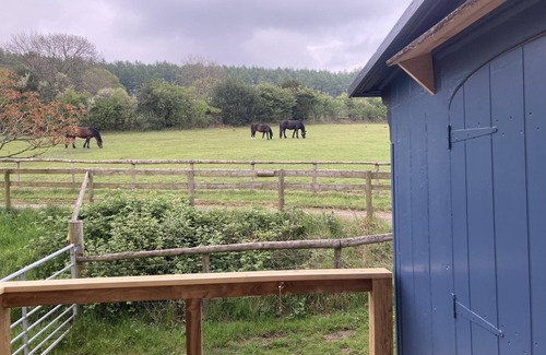 Longhope Cabina | Pet Friendly - 2 Guests - Original Roadsmans Wagon