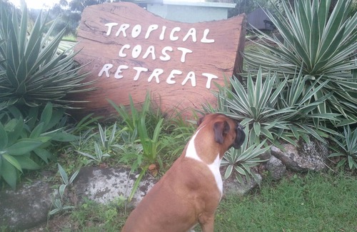 Duranbah Apartamento | Tropical Coast Poolside Suite Se aceptan mascotas