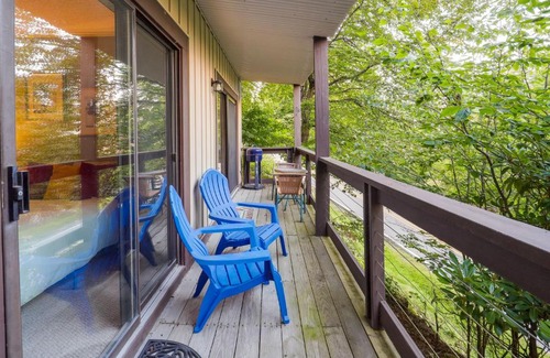 Beech Mountain Apartamento | Pet-Friendly Beech Mountain Condo Walk to Slopes!