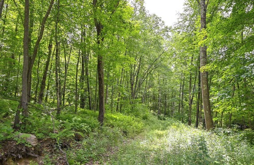 Marble Dale Cabina | Pet-Friendly Connecticut Cabin w/ Deck & Fire Pit!