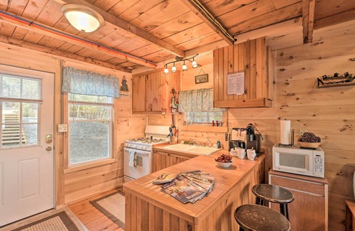 Ellsworth Cabaña | Pet-Friendly Ellsworth Cottage on Branch Lake
