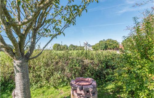 Friedrichskoog Casa | Pet Friendly Home In Friedrichskoog