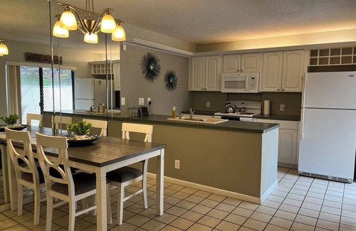 Wedgewood Of Palm Harbor Casa | Pet Friendly Palm Harbor Oasis