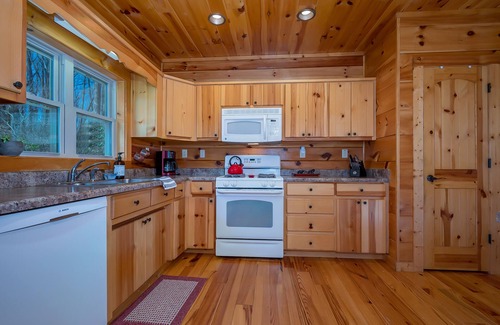 Lynn Casa | Pet-Friendly Retreat in Comfortable 4BR Bears Den