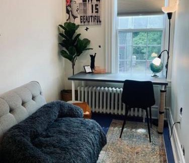 North End Apartamento | Pet-Friendly Space #3 at Doggy Digs, King Bed and Office