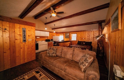 Dubois Cabina | Pet-Friendly Studio Cabin with River Access, Mountain Views & Hot Tub!