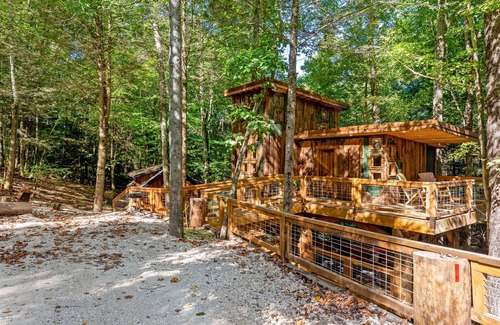 Rogers Cabina | Pet-Friendly Treehouse - Amazonia - an exclusive experience in Red River Gorge, Kentucky!