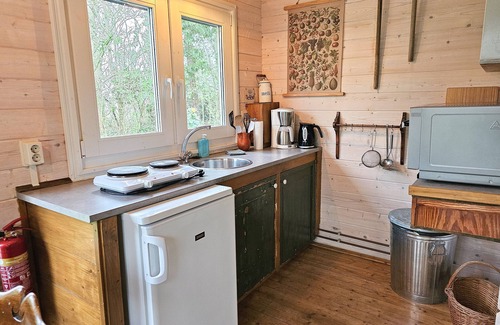 Grijpskerke Casa | Pet-friendly vacation home in an idyllic location on the Zeeland coast!