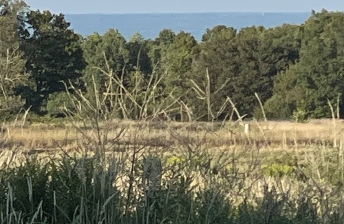 Fredonia Cabina | Peter's Lookout over Lake Erie and tiny cabin retreat # 1