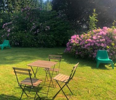 Hahnenklee Apartamento | Peters Aparthotel