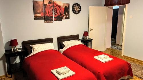 Dorcol Apartamento | Peti