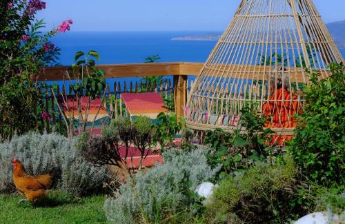 Calcatoggio Apartamento | Petit coin de paradis, vue panoramique mer &montagne, piscine privée.